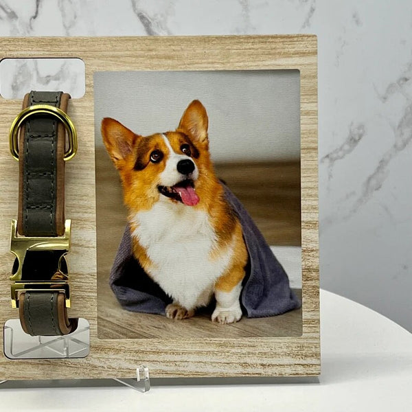 Pet Memorial Dog Collar Holder Dog Loss Memorial Frame